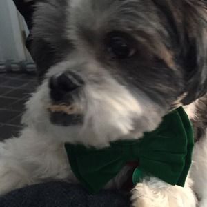 Meet your Posher, Olivia